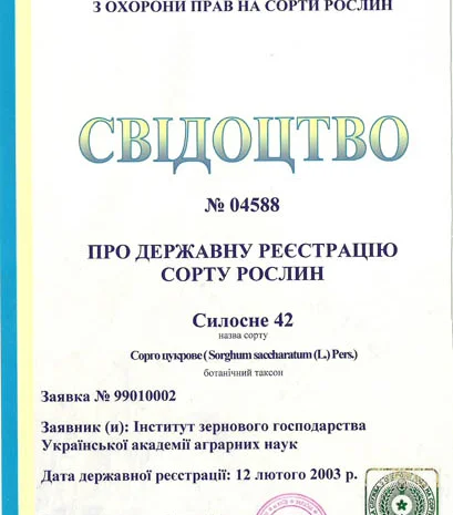 Продажа цукрового сорго Силосне 42- фото № 2