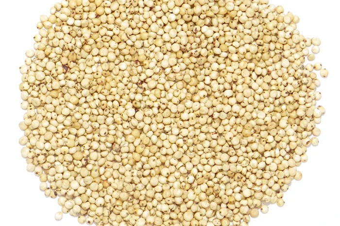 Закупівля білого сорго на експорт- фото № 1