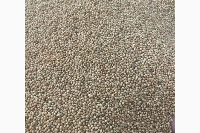 Куплю просо жовте та біле- фото № 2