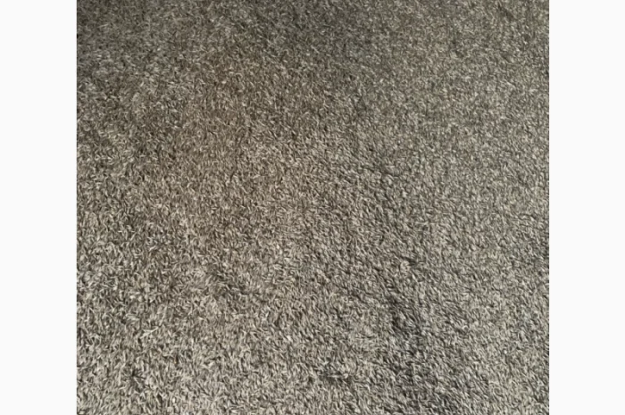 Овес урожаю 2025 року на продажу- фото № 2