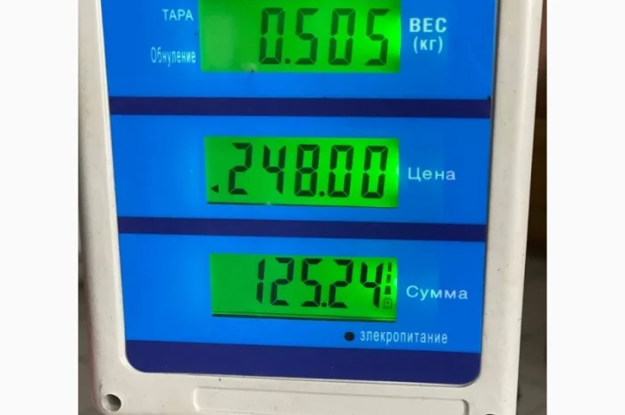 Овес свіжого врожаю на продаж- фото № 3