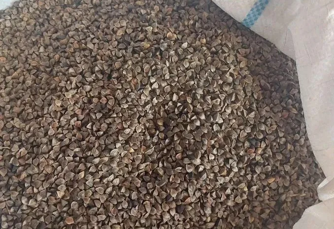 Гречка Арно на продаж- фото № 1