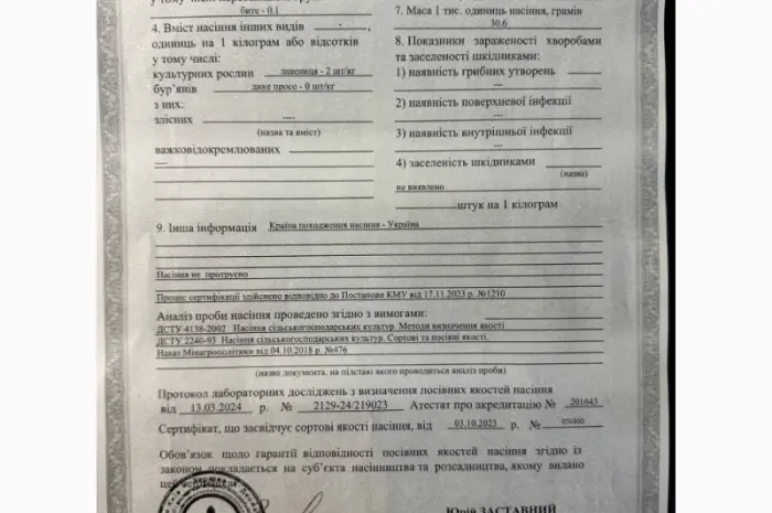 Продам гречку посевной материал сорт Селяночка- фото № 1