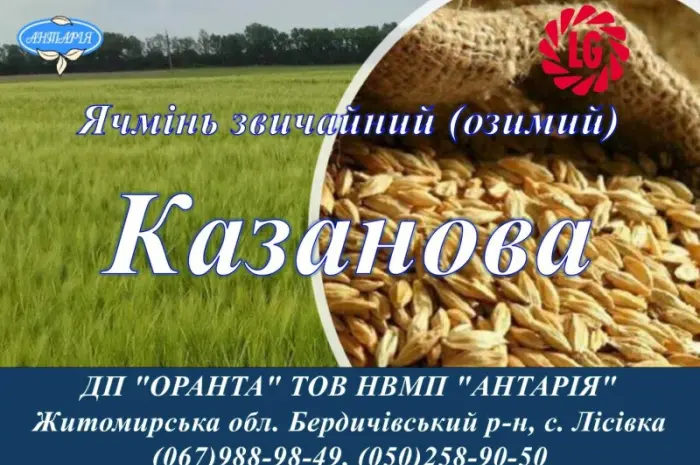 Насіння озимого ячменю Казанова- фото № 1