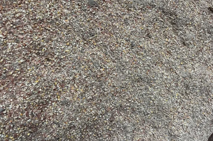 Отходы кукурузы после сушки- фото № 5