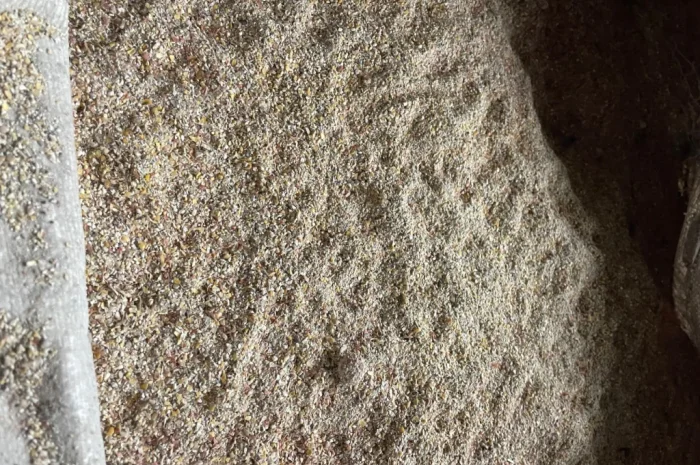 Отходы кукурузы после сушки- фото № 2