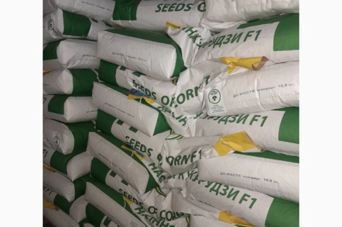 Семена кукурузы ДН Фієста (ФАО 260) от производителя- фото № 1