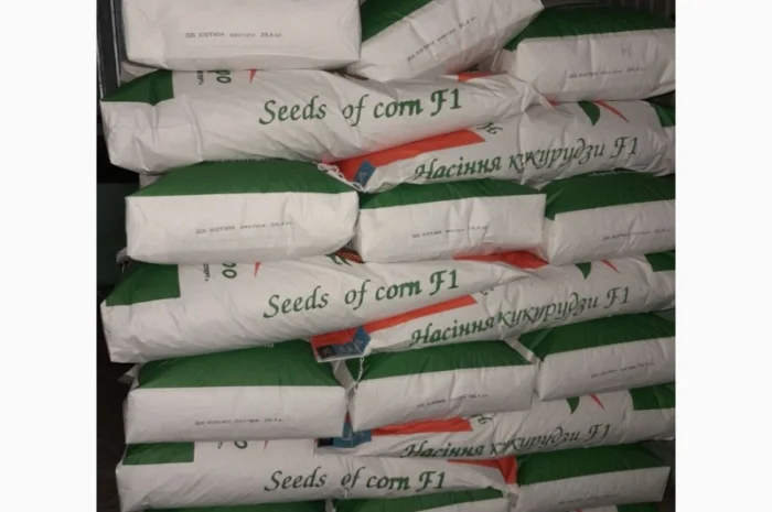 Продаж кукурузи ДБ Хотин 2025- фото № 3