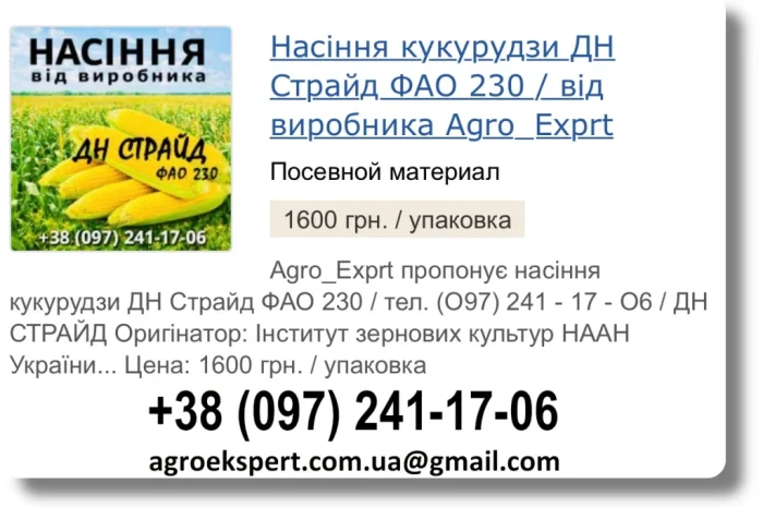 Насіння кукурудзи ДН Страйд 2026 від виробника- фото № 1