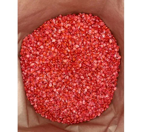 Продаю кукурузу ДН Хортиця (ФАО 240) від виробника- фото № 3