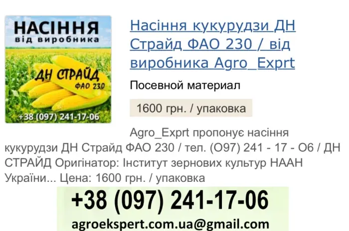 Гібрид кукурудзи ДН Страйд (ФАО 230) на продажу- фото № 1