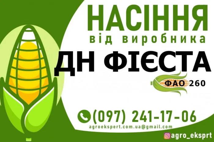 Гібрид кукурудзи ДН Фієста (ФАО 260) від виробника- фото № 1