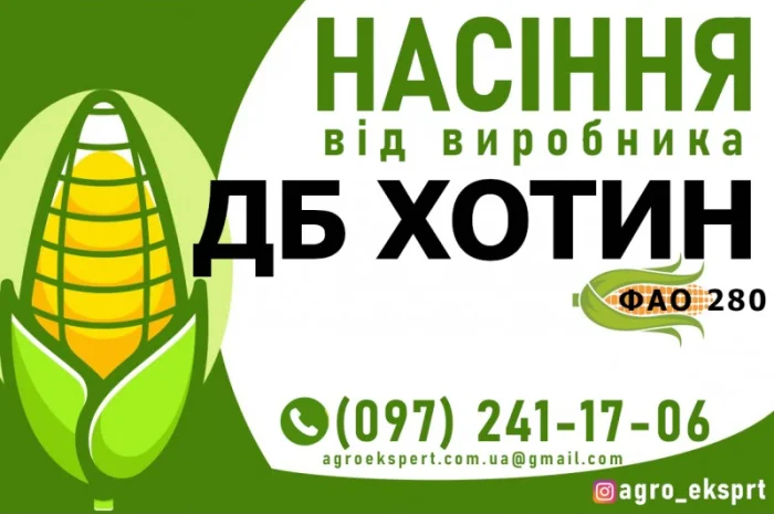 Гібрид кукурудзи ДБ Хотин (ФАО 280) від виробника- фото № 1
