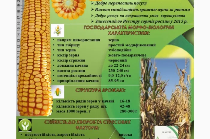 Продаж ДБ Хотин ФАО 280- фото № 1