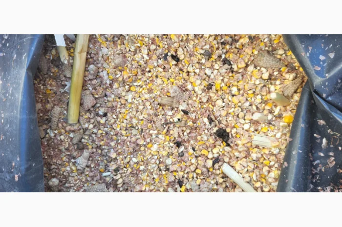 Продажа отходов кукурузы различных категорий- фото № 11