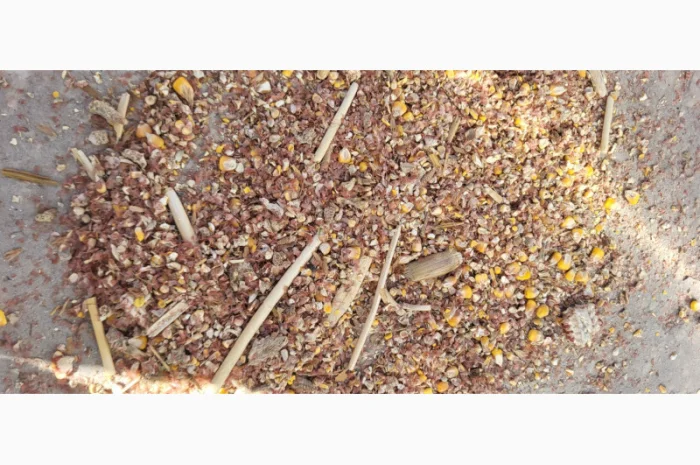 Продажа отходов кукурузы различных категорий- фото № 12