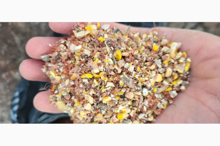Продажа отходов кукурузы различных категорий- фото № 1