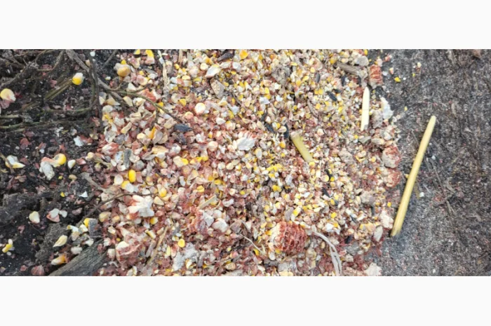 Продажа отходов кукурузы различных категорий- фото № 2