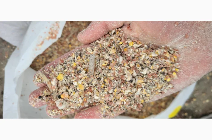 Продажа отходов кукурузы различных категорий- фото № 3