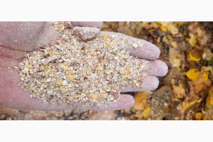 Продажа отходов кукурузы различных категорий- фото № 4