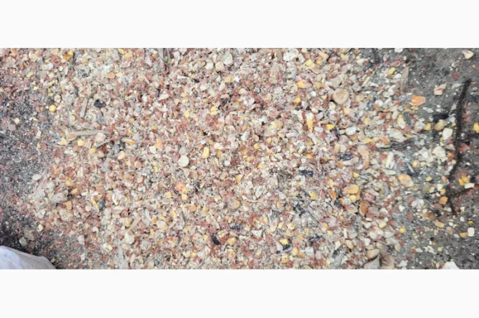 Продажа отходов кукурузы различных категорий- фото № 5