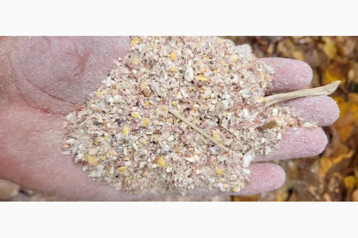 Продажа отходов кукурузы различных категорий- фото № 7