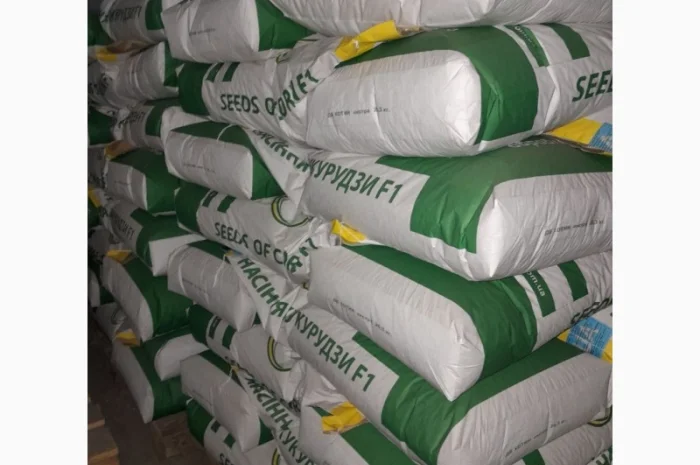 Продаж гібриду кукурудзи ДБ Хотин (ФАО 280)- фото № 2