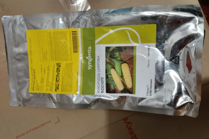 Продажа Насіння солодкої Кукурудзи БСС1075- фото № 1