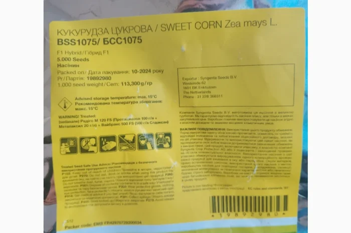 Продажа Насіння солодкої Кукурудзи БСС1075- фото № 2