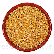 Закупка зерна Кукурузы оптом в Одессе- фото № 1