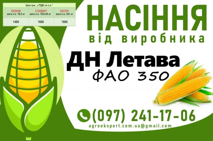 Продаж насіння кукурудзи ДН Летава (ФАО 350)- фото № 1