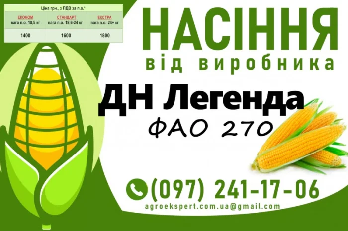 Продажа семян кукурузы ДН Легенда (ФАО 270) 2025 года- фото № 1