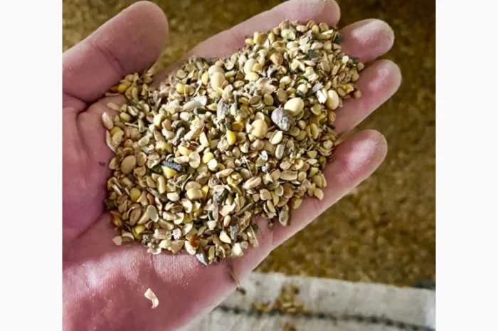 Закупка отходов кукурузы 3 категории- фото № 1