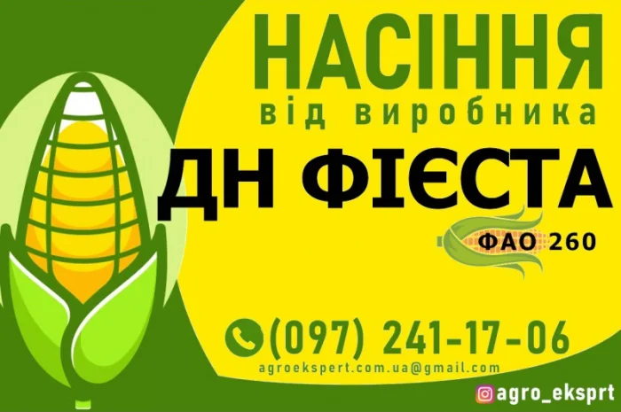 Гибрид кукурузы ДН Фиеста (ФАО 260) от производителя- фото № 1
