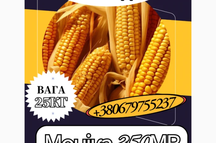 Насіння кормової кукурудзи Моніка 350МВ 25 кг- фото № 1