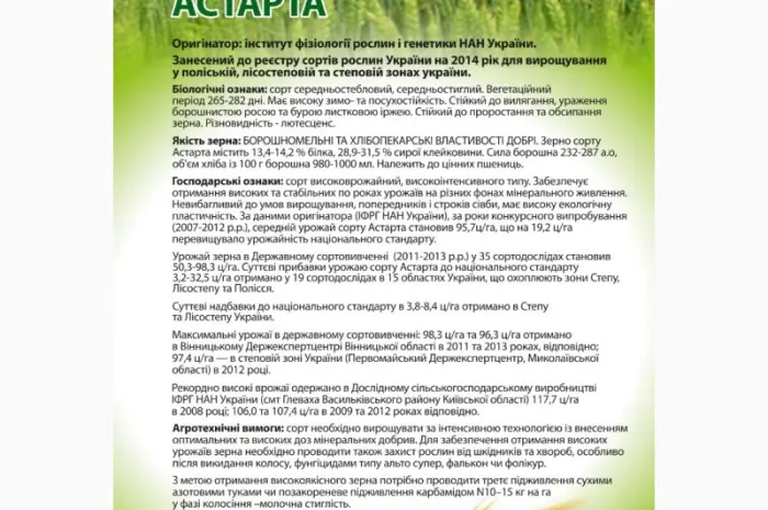 Насіння озимої пшениці Астарта в продаже- фото № 2