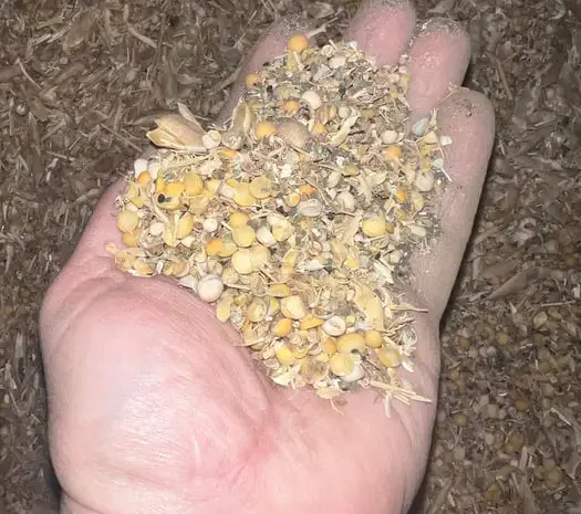 Продам отходы гороха- фото № 1