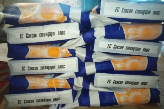 Соняшник ЕС Саксон- фото № 2