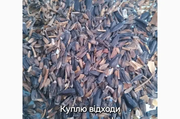 Купим відходи соняшника ділові- фото № 1