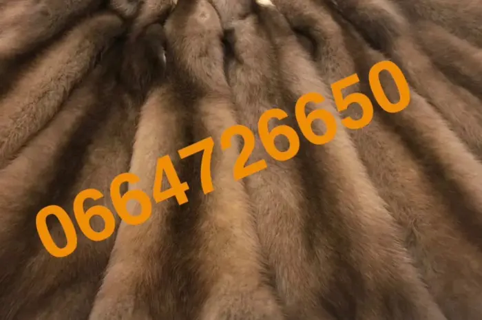 Продам куницу вычиненную тысячи штук лесная и каменка- фото № 1