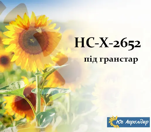 Насіння соняшника НС-Х 2652- фото № 1