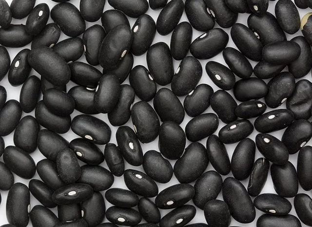 Квасоля сортова- фото № 1