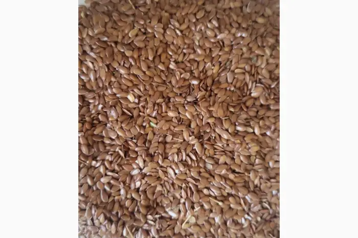 Льон (Flaxseed) на экспорт- фото № 1