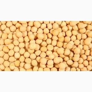 Продается качественный желтый горох- фото № 1