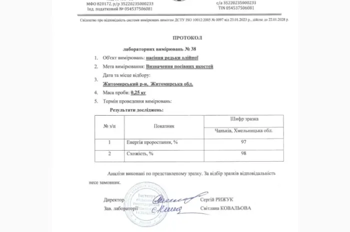 Насіння редьки олійної для сидерату – продаж- фото № 2