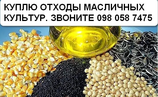 Дорого! Купляємо по всій Україні самовивозом мертві відходи соняшника- фото № 1