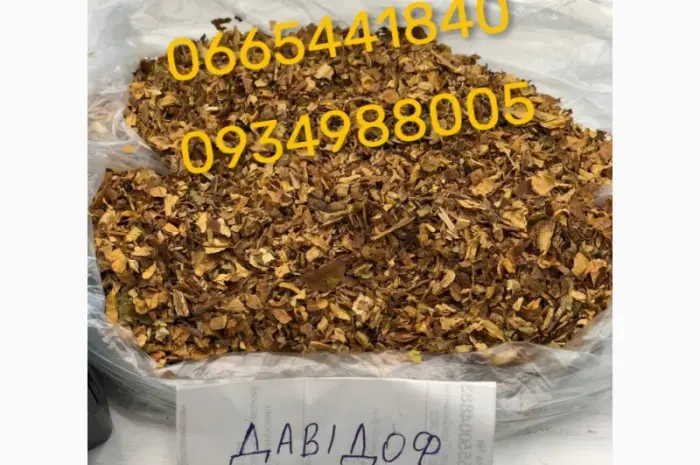 Якісна Гавана / Давідоф / КапБлек / Дюбек / Вірджинія / Берлі / Махорка / Мальбро / Гільзи- фото № 8