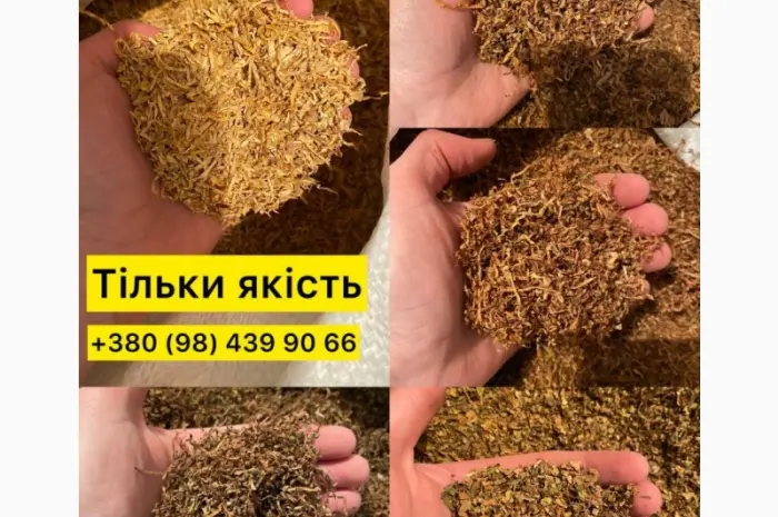 Табак премиум-класса Вирджиния- фото № 1