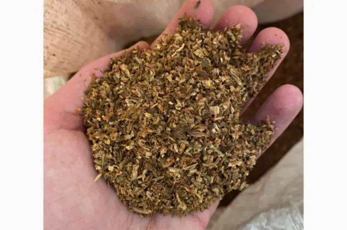 Премиальный табак со вкусом уровня Davidoff - мягкий и ароматный- фото № 3