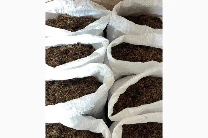 Продам табак!!! фабричная лапша и ломана лапша. идеально подходит для всех видов машинок- фото № 7